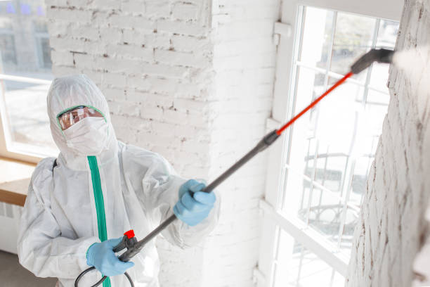 Best Industrial Mold Remediation  in New Burlington, OH