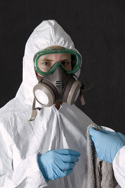 Best Biohazard Mold Removal  in New Burlington, OH